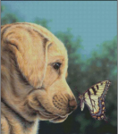 (image for) New Found Friend